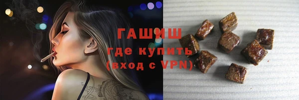 шишки Надым