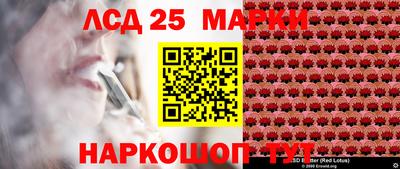 стаф Донецк