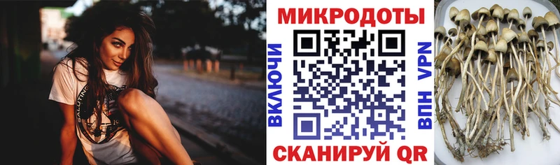 Галлюциногенные грибы прущие грибы  как найти наркотики  Кашира 