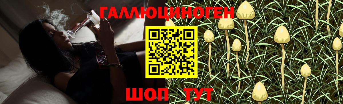 Галлюциногенные грибы мухоморы  Вход с VPN  Псилоцибиновые грибы GOLDEN TEACHER  Кашира 